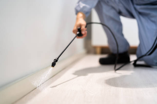 Licensed Mosquito Control service in Milwaukee, WI - Show Me Pest Control