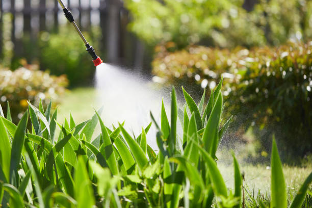 24/7 Emergency Mosquito Control experts in Milwaukee, WI